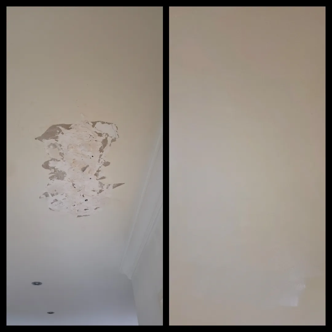 Wall plaster and paint repair