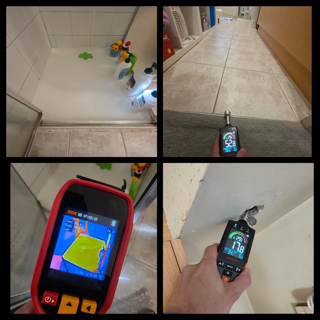 Leak detection with moisture meter