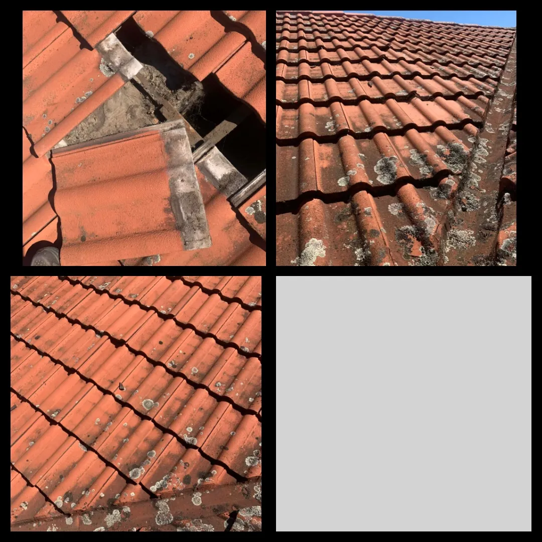 Roof tile repair and re-bedding